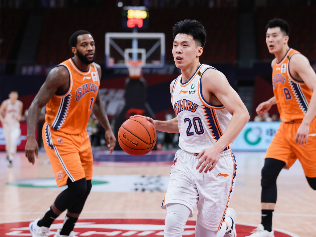 开云应用的 开云应用的