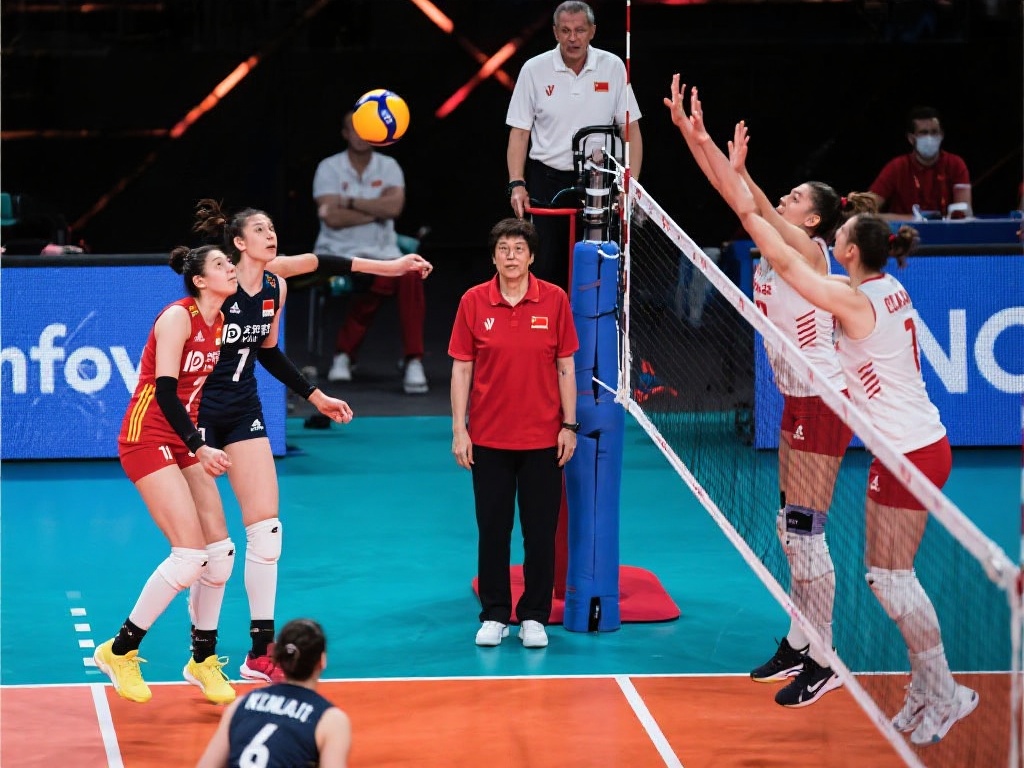 提供了全新 提供了全新